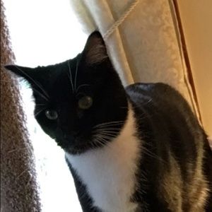 Meet your Posher, Roxanna